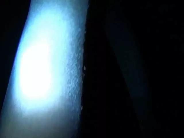 DiaFoxi on BongaCams 