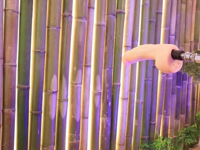 VikkiRood on BongaCams 