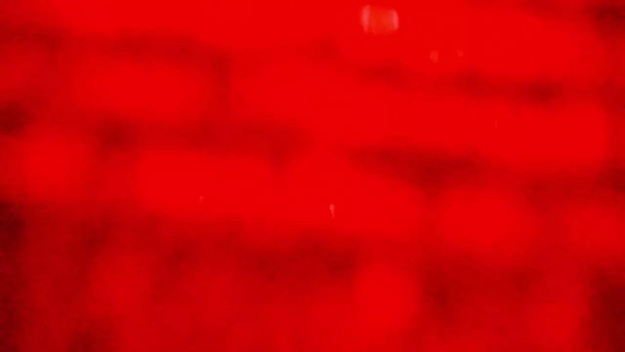 Offline Angywalhs on Cam4