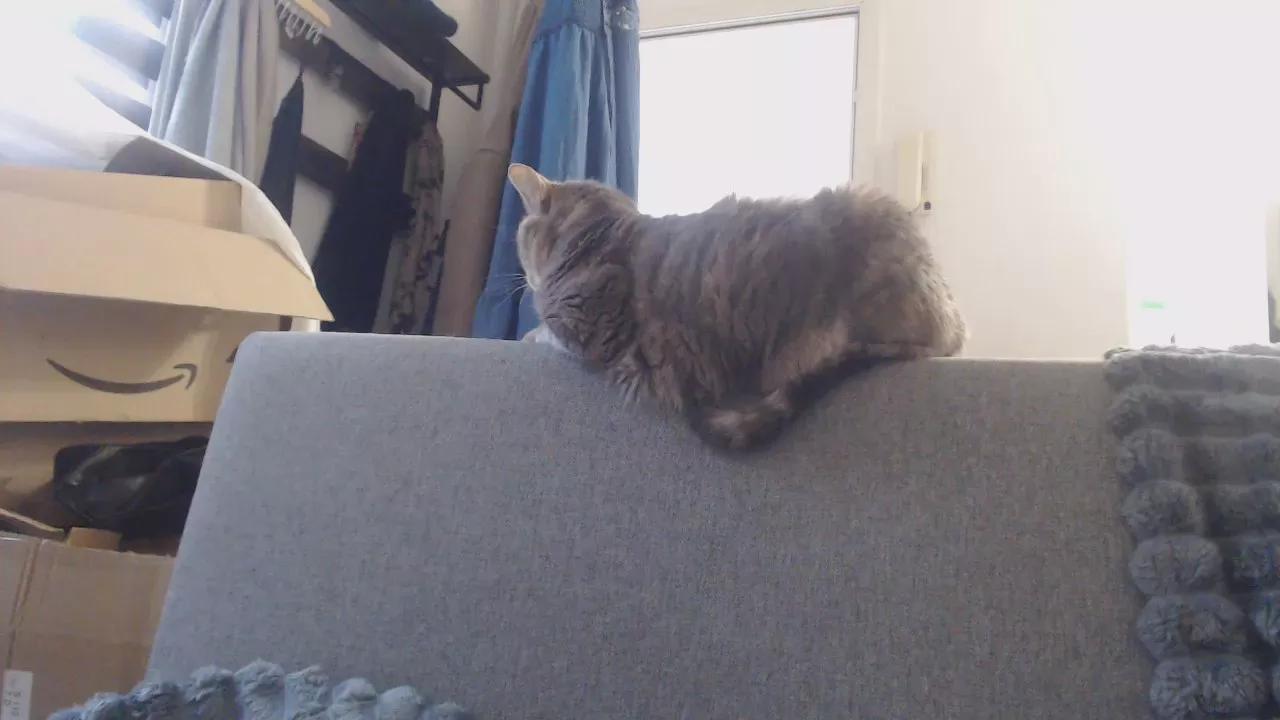 billytis on Cam4 