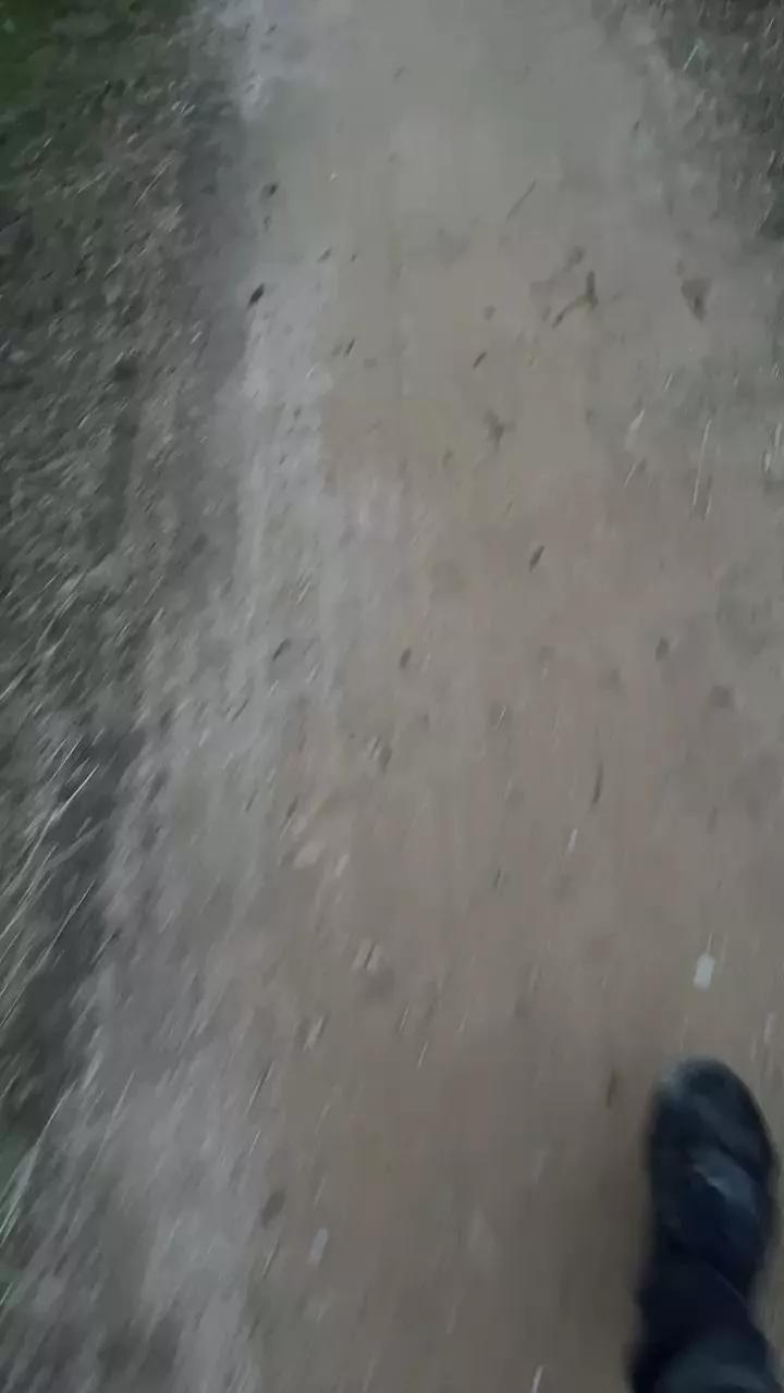 Offline Cece29000 on Cam4