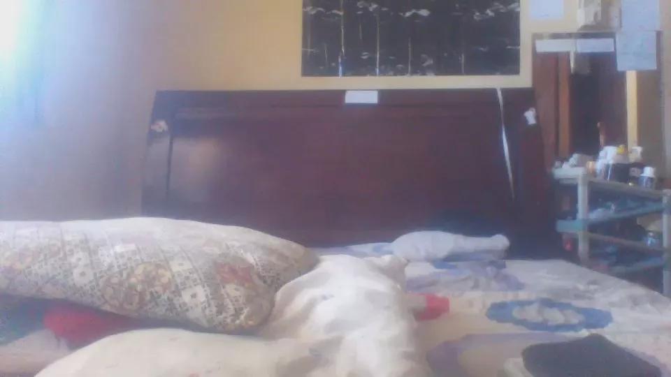 Faizzah on Cam4 