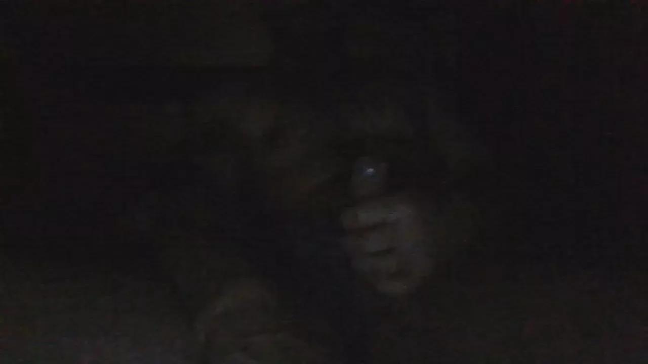 jeffoo5 on Cam4 