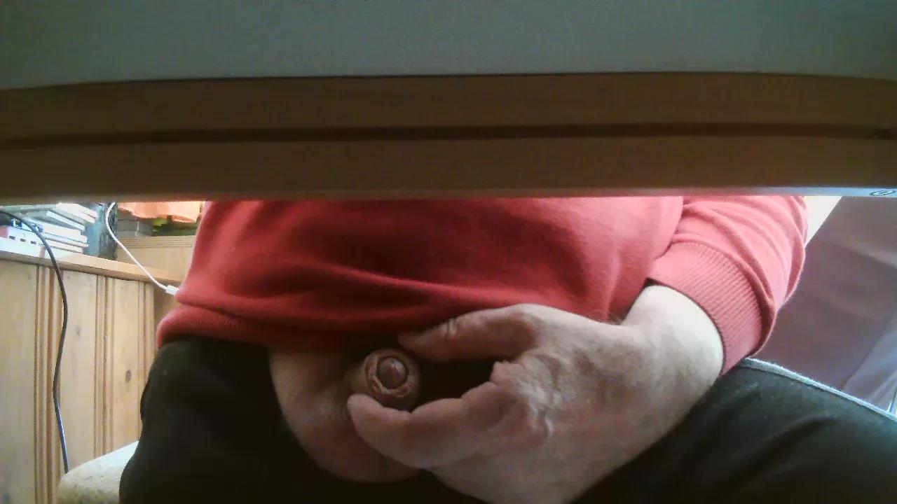 legov4 on Cam4 