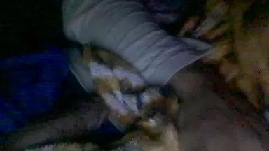 Lkgostos0 on Cam4 