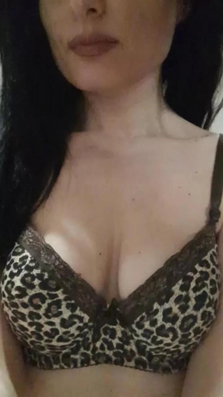 Freechat nancysexy3 on Cam4