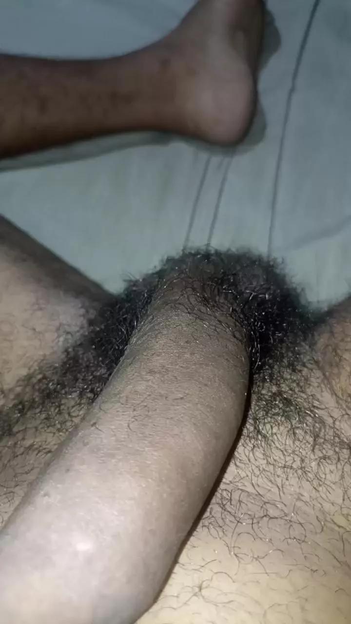 Negocavalo on Cam4 