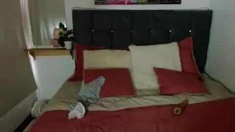 shyvibes_ on Cam4 