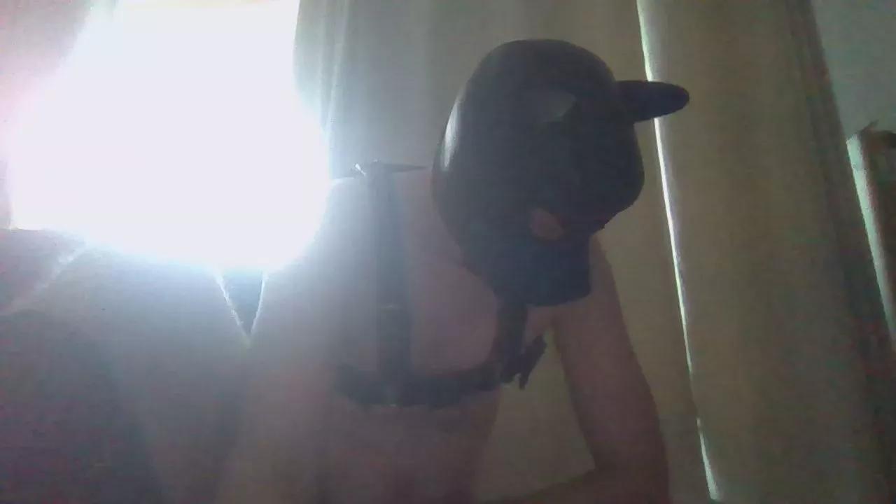 yahamoto on Cam4 