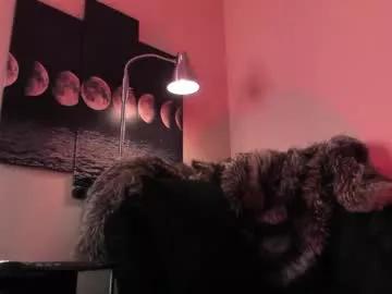 Freechat alicepoixxxon on Chaturbate