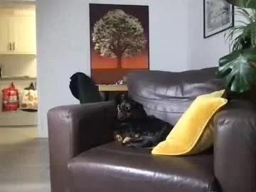 Watch 29 years old camdoattitude from Chaturbate camdoattitude from Chaturbate