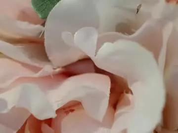 Freechat imcarrieberry on Chaturbate