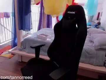 Freechat tannorreed on Chaturbate