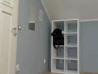 kyle_bakerr on Flirt4Free 
