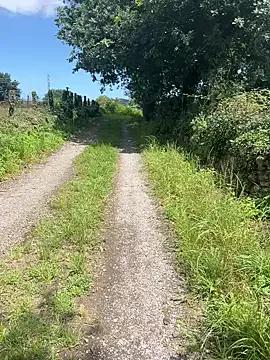 Group Alicia_Hot1 on StripChat