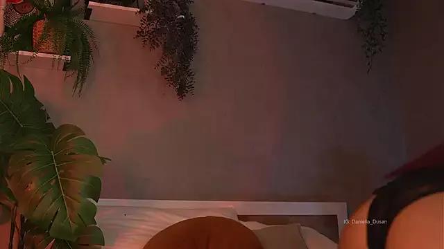 Freechat DaniDusan_ on StripChat