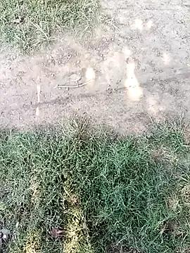 Try 23 years old Mehta_seema from StripChat Mehta_seema from StripChat